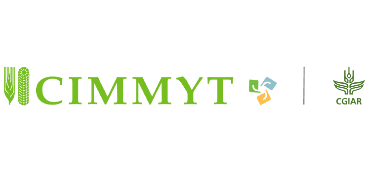 Logo Cimmyt
